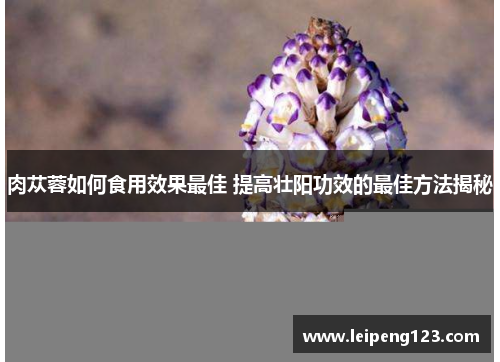 肉苁蓉如何食用效果最佳 提高壮阳功效的最佳方法揭秘