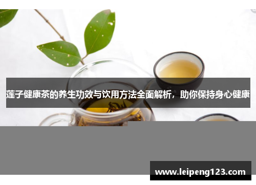 莲子健康茶的养生功效与饮用方法全面解析，助你保持身心健康